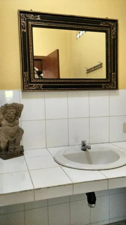 Budi Guest House Ubud - photo 4