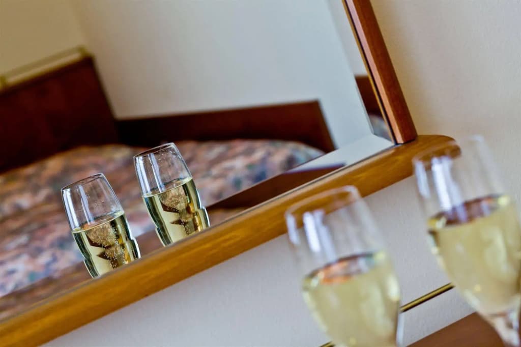 Hotel Melantrich - photo 4