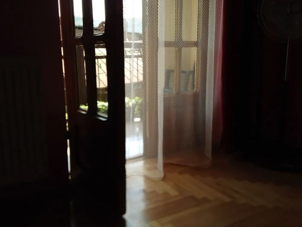 Vazi Hotel - photo 3