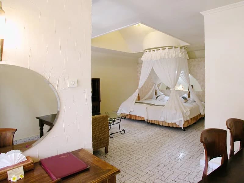 The Alit - photo 3