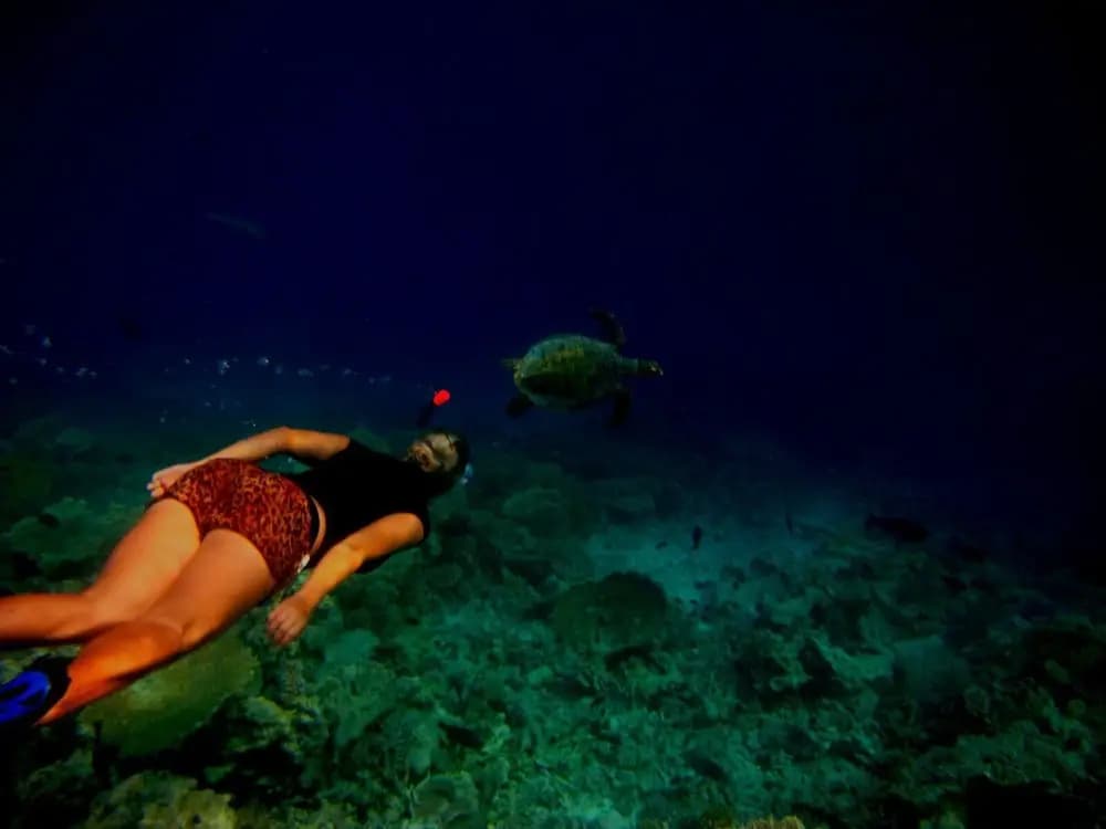 Suffix Retreat - Stay, Dive & Explore Fuvahmulah - photo 29