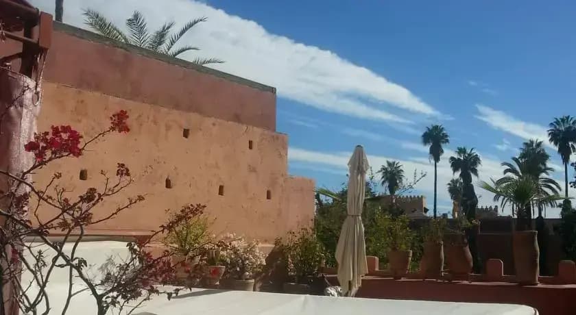 Riad Ica - photo 6