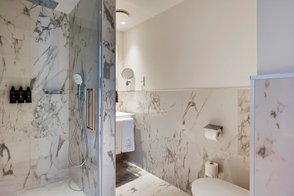 Aurea Ana Palace by Eurostars Hotel Company - photo 10