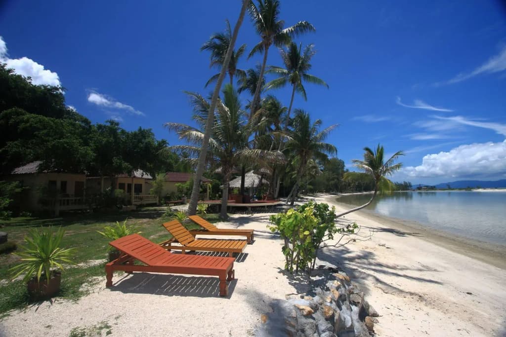 Beck 's Resort - photo 16