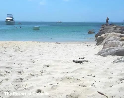 The Resort at Cronulla - photo 36