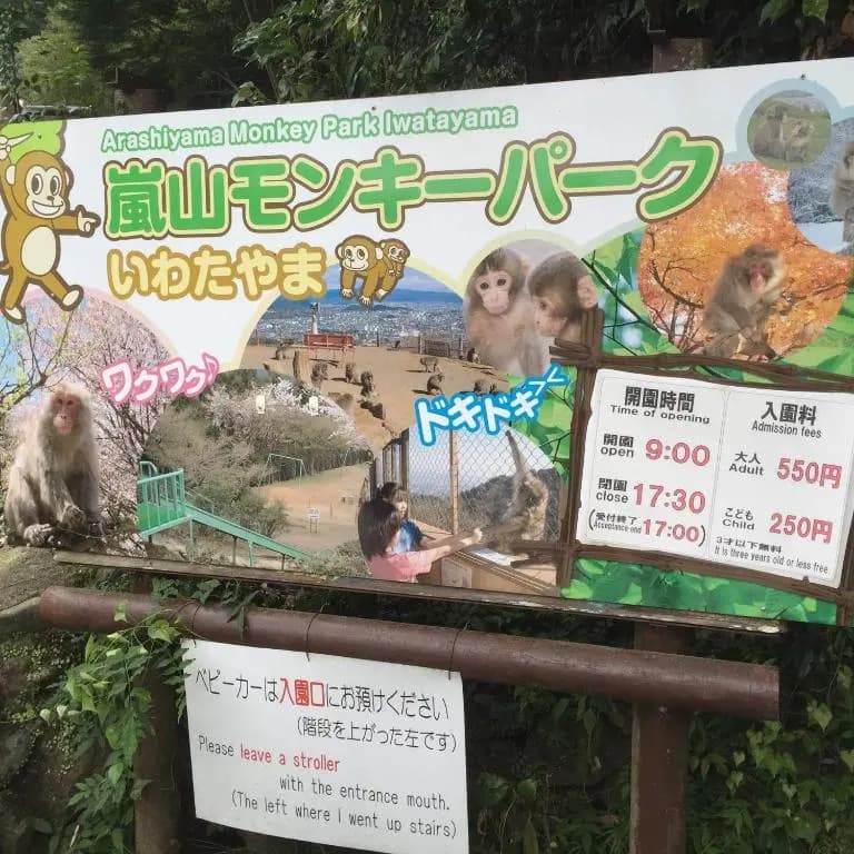 SAIZEN Matsumuro stay - photo 23