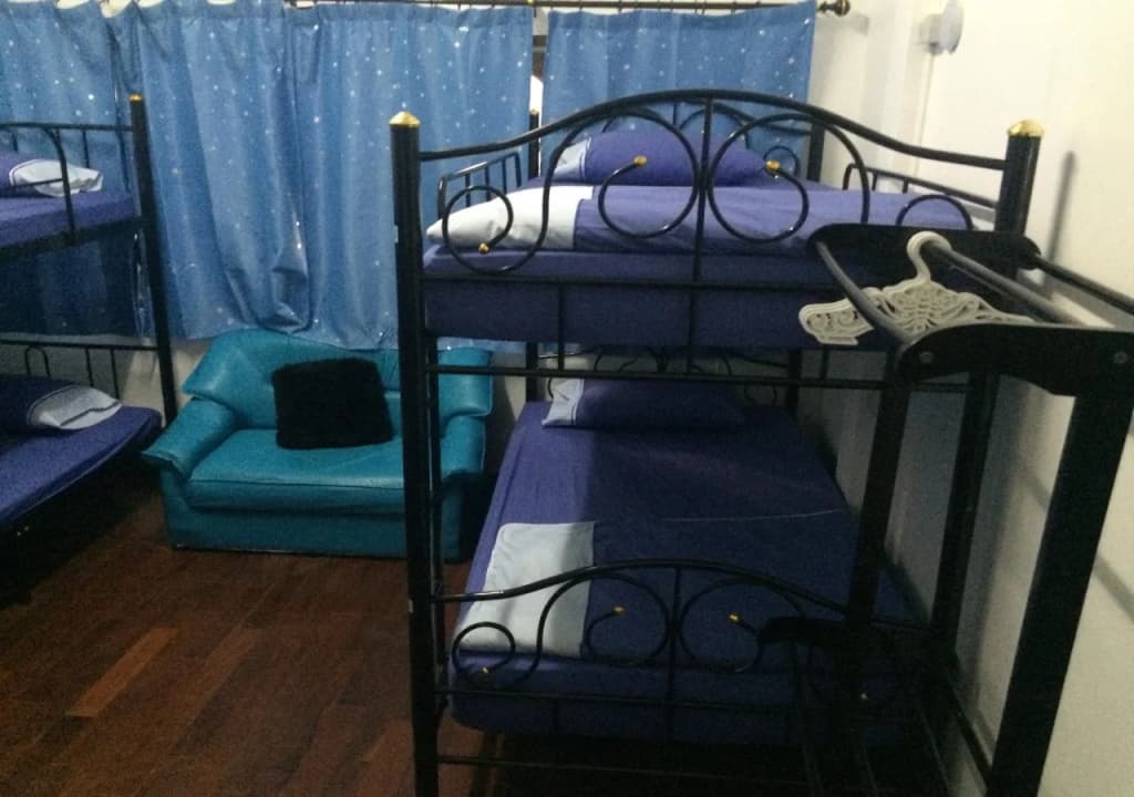 La Maison Verte Hostel - photo 4
