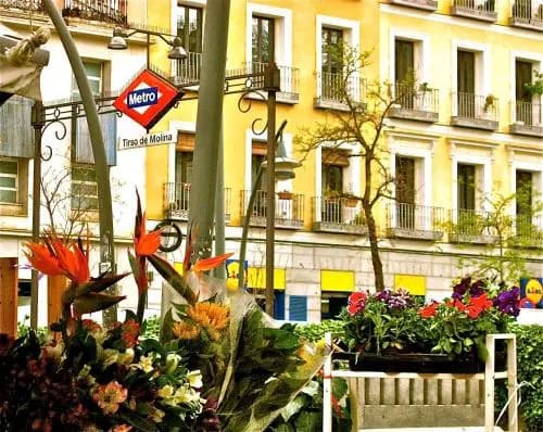 Hostal Tirso Plaza - photo 11
