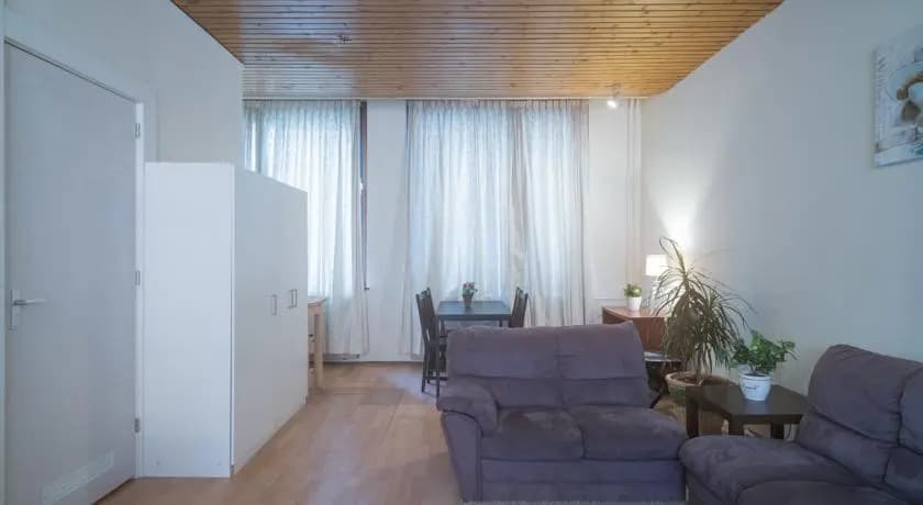 Studio Vondelpark Adjacent Eerste Helmersstraat - main photo