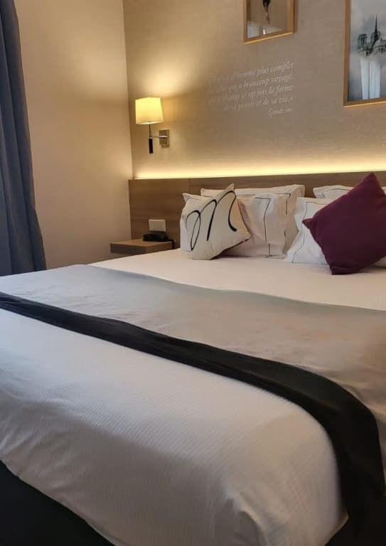 Hôtel Magda Champs Elysées - ex Hôtel Royal Magda Etoile - photo 42