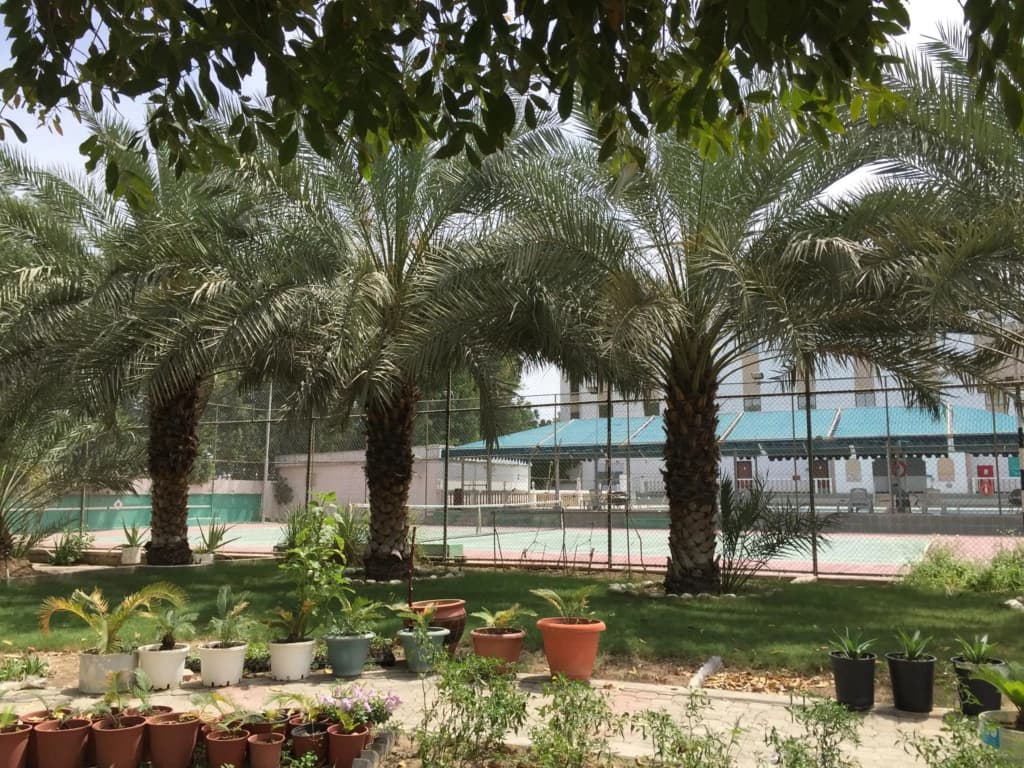 Hotel Al Madinah Holiday - photo 48