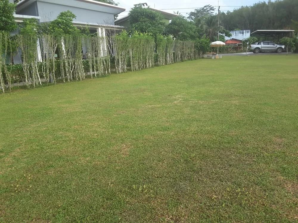 Moonlight Cottage Resort - photo 15