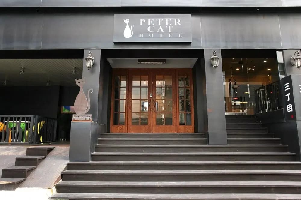 Shinchon Peter Cat - photo 22
