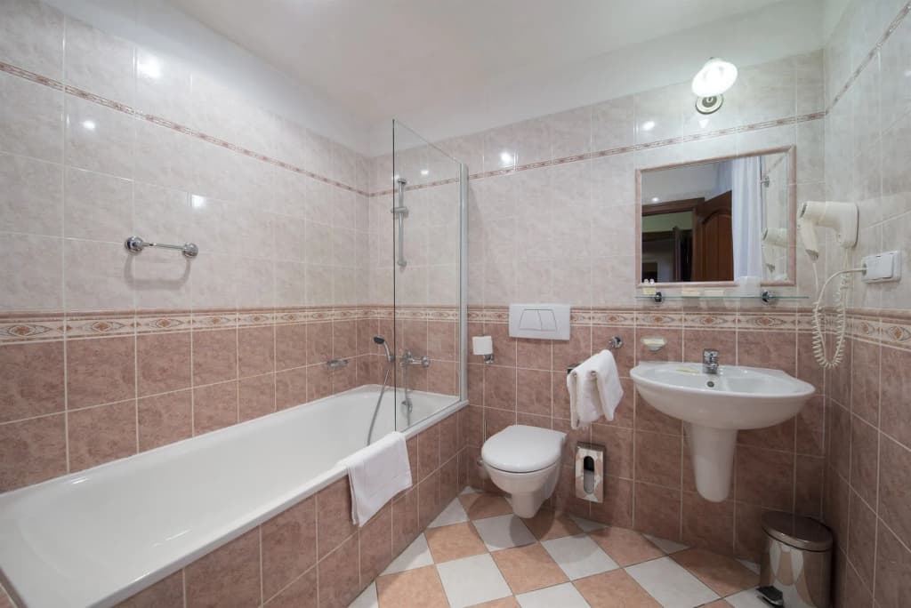 Hotel Cerny Slon - photo 9