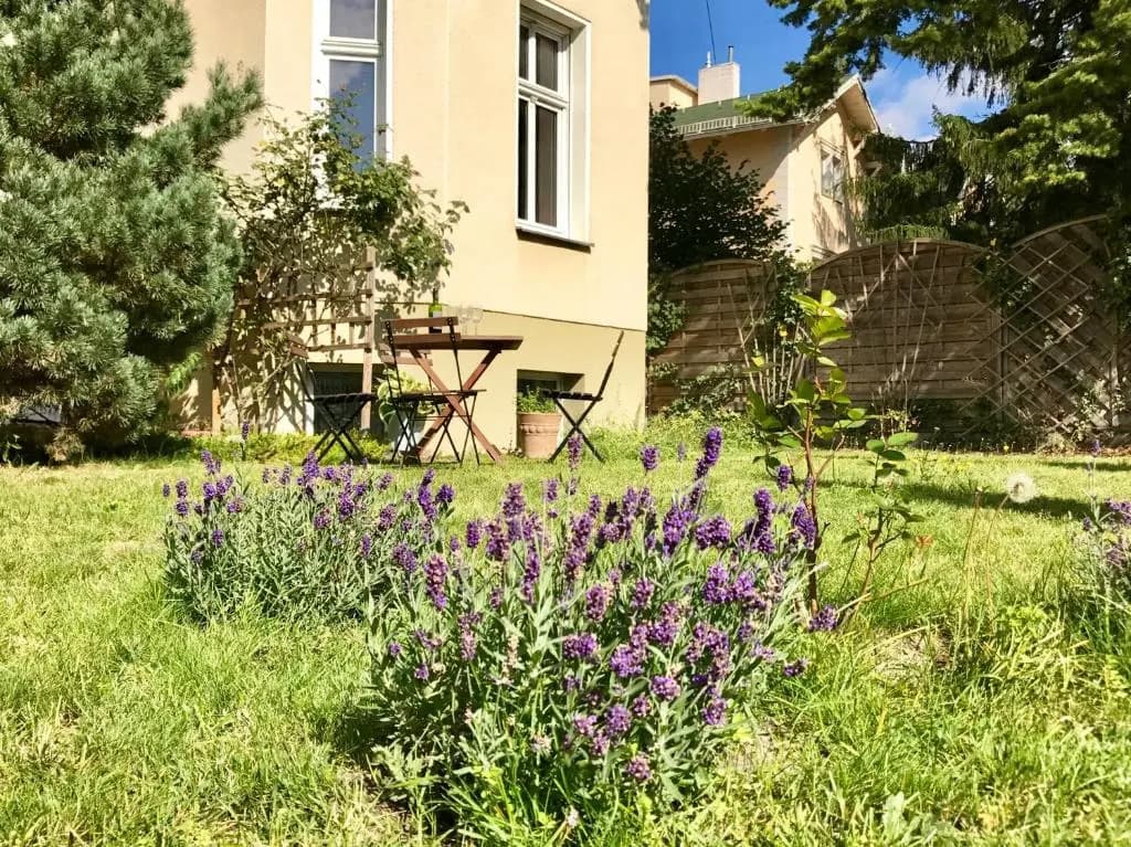 Bürgerpark Apartments - photo 16