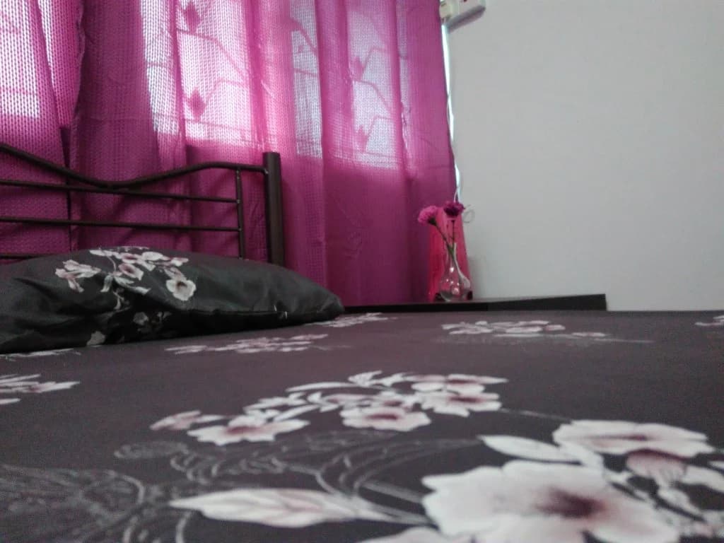 Purpleberry Inn - photo 6
