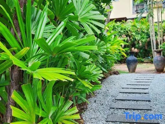 Villa Prima Karon - photo 2