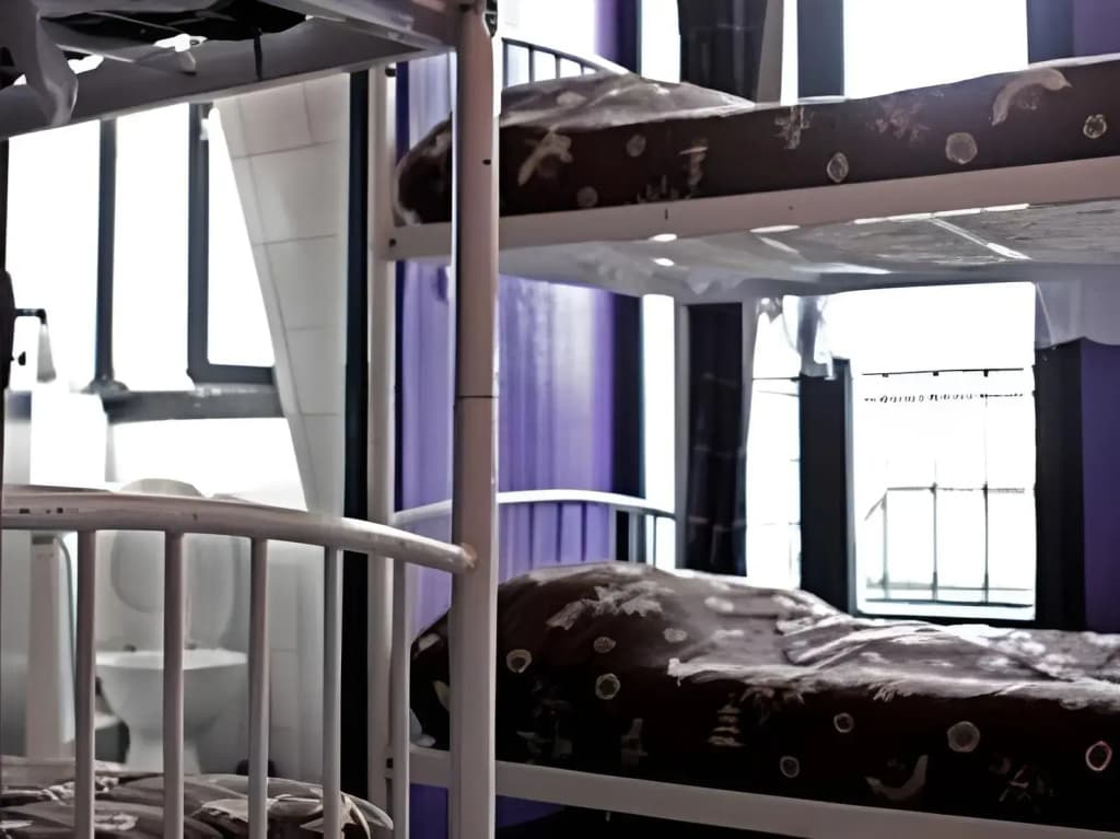 Peace & Love - Hostel - photo 30
