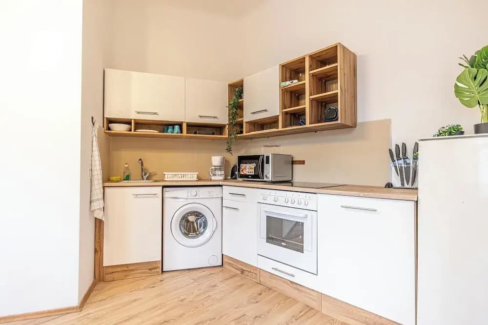 Luxury Flat with Access to Danube - photo 4