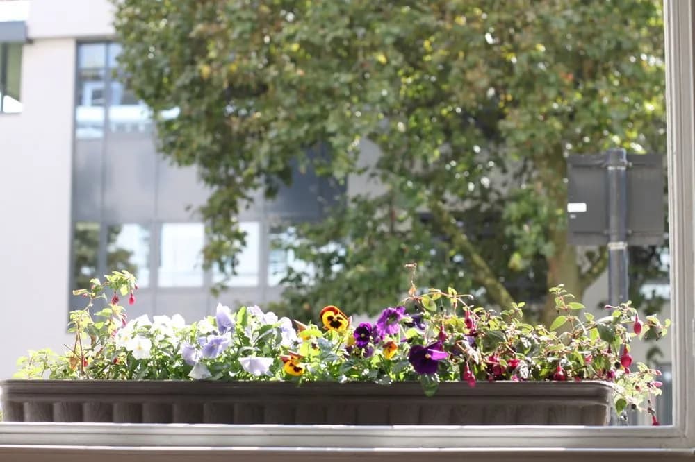 Pimlico Chic Suite - photo 13