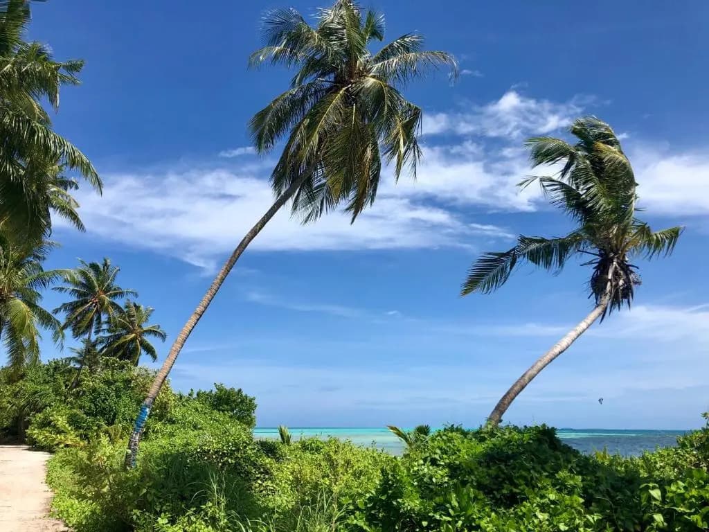 Atoll Residence - photo 13