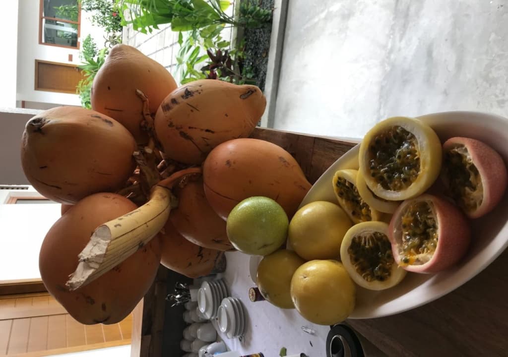 Olive Goidhoo Hotel - photo 9