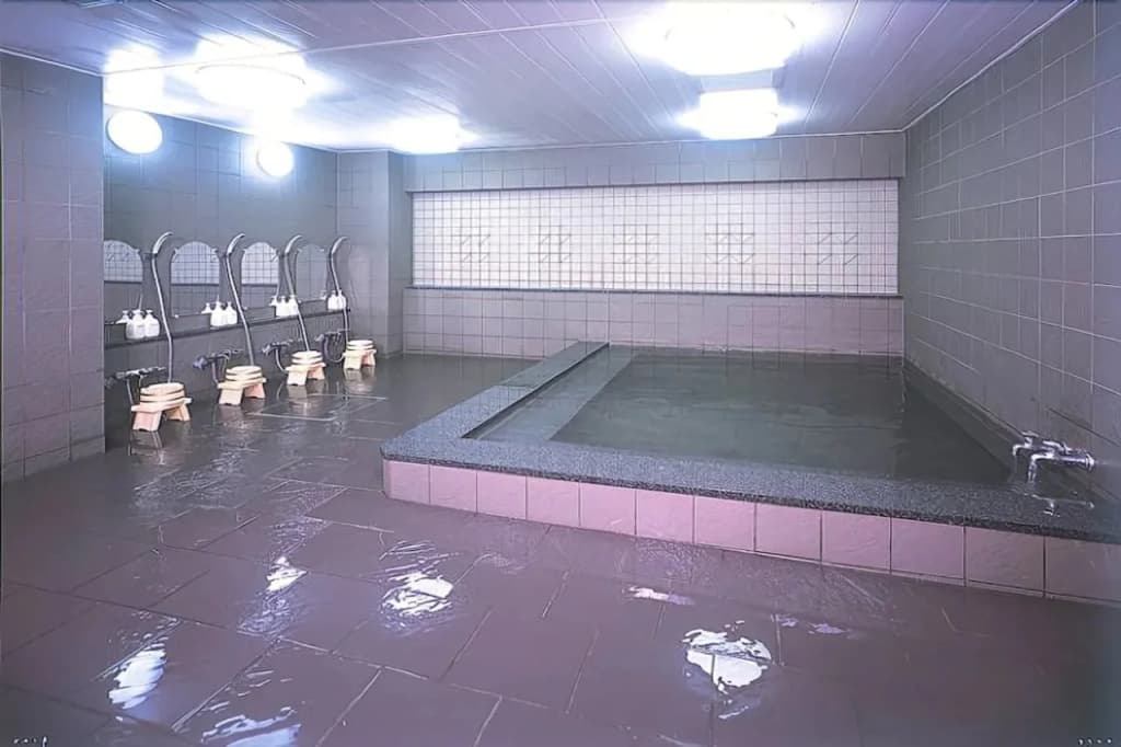 Ryokan Hirashin - photo 6