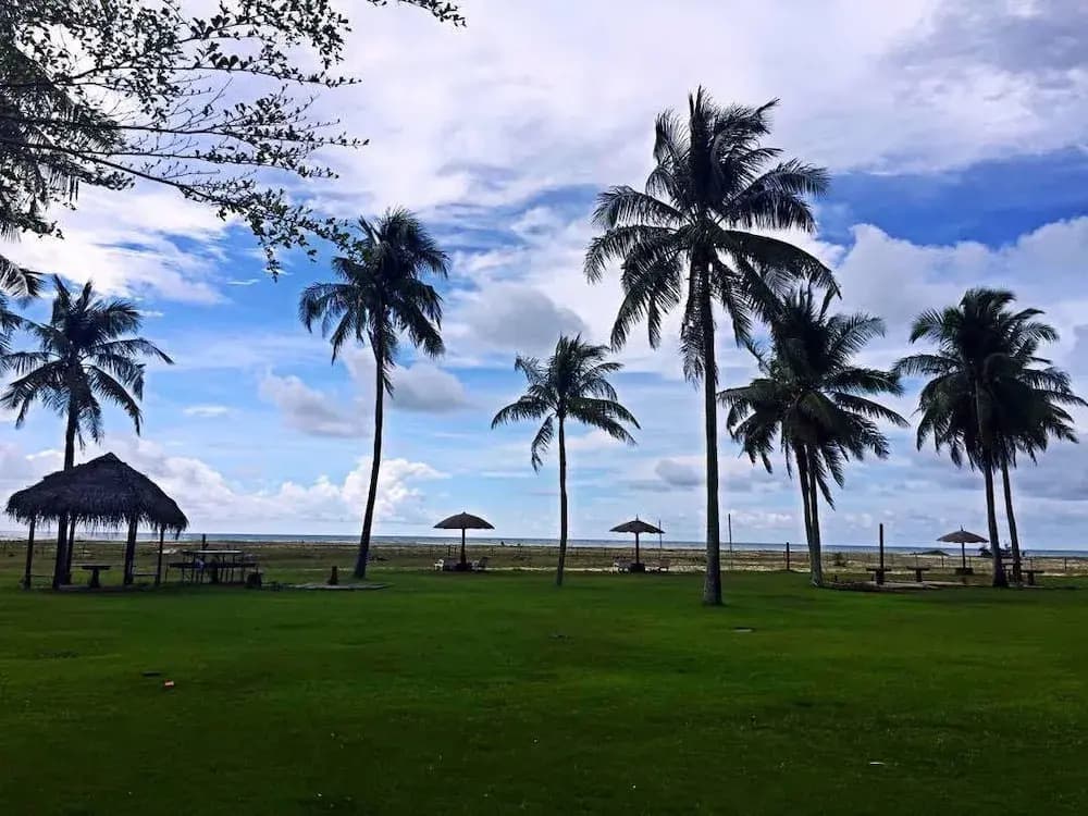 Raintree Beach & Golf Resort - photo 16