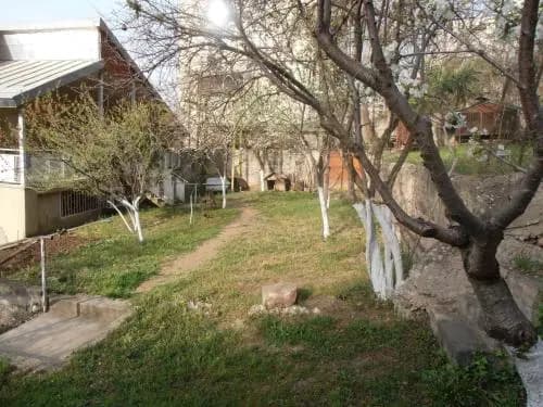 Iulia's House - photo 9