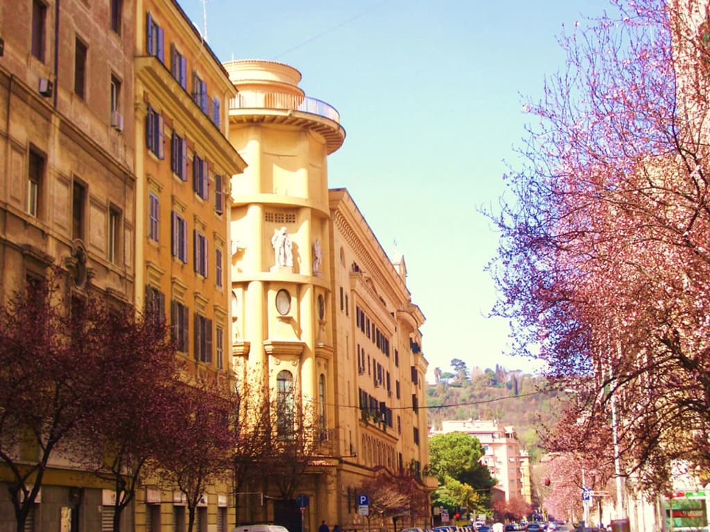 Campanella3 - main photo