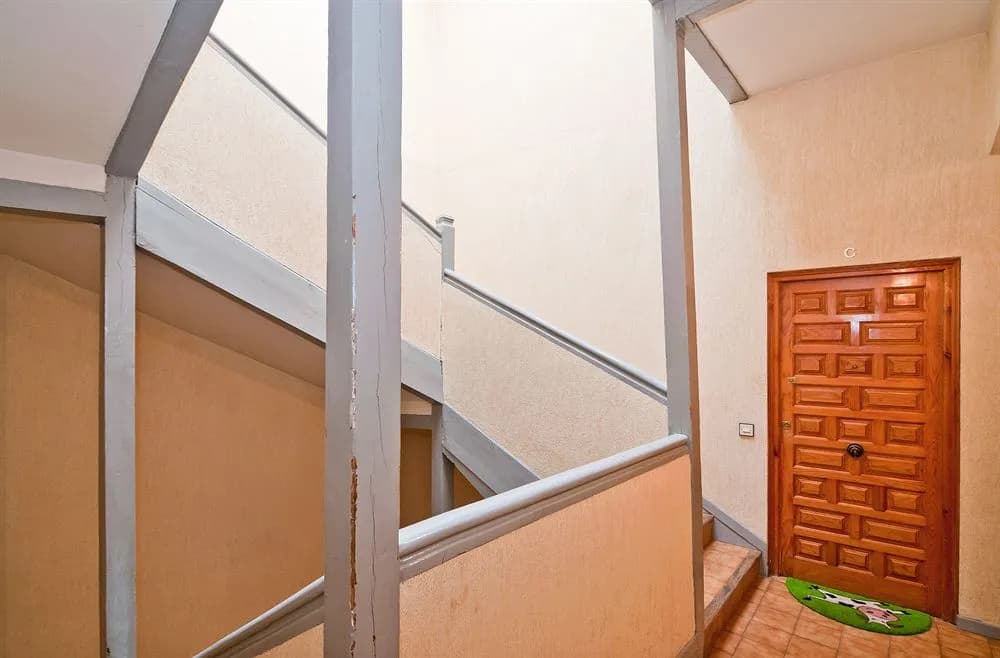 Olmo - photo 10