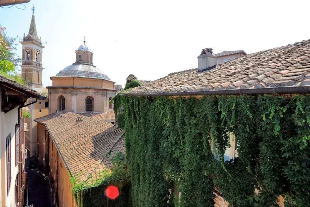 Volpe - photo 11