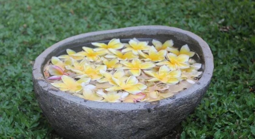 Odah Ayu Guest House - photo 11