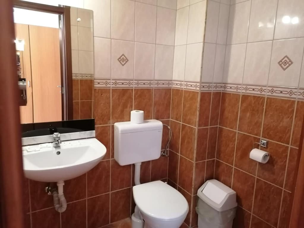 Hotel Ferihegy - photo 9