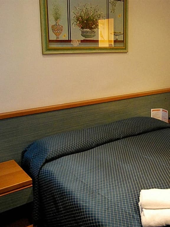 Hotel Marcantonio Rome - photo 6