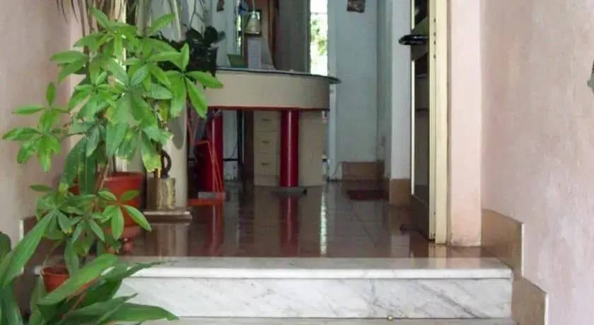 Hotel Viola - photo 2