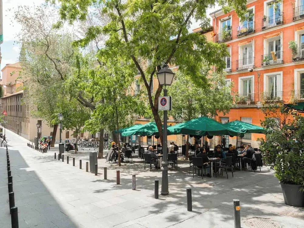 Madrid4rentals - photo 16