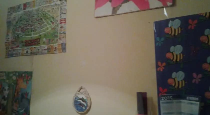 Amber Guesthouse - photo 7