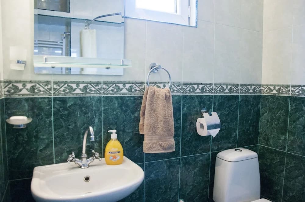Guest House Lile - photo 8
