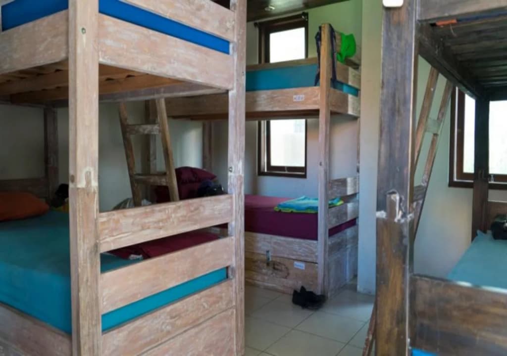 Canggu Surf Hostel - photo 3