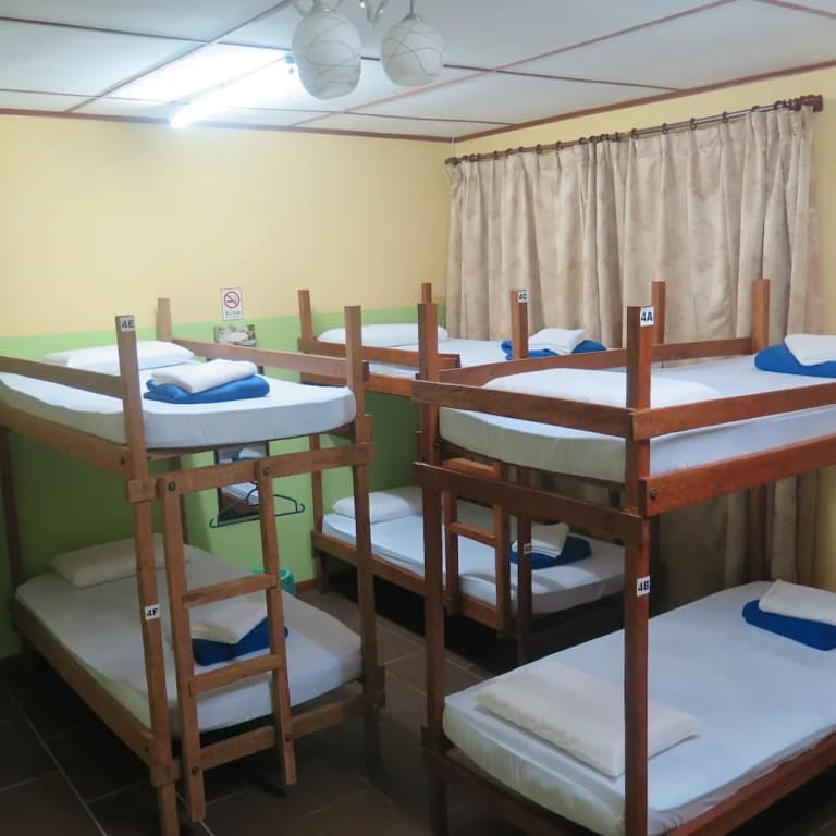 Postar's Backpacker - Hostel - photo 20