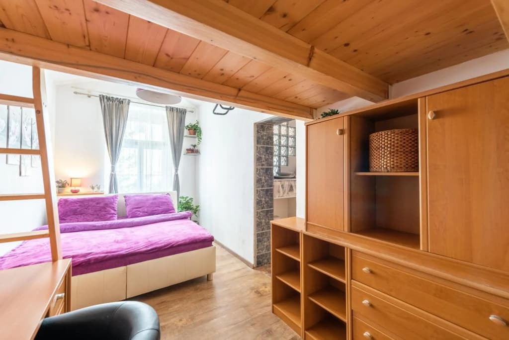 Žižkov apartments - photo 9