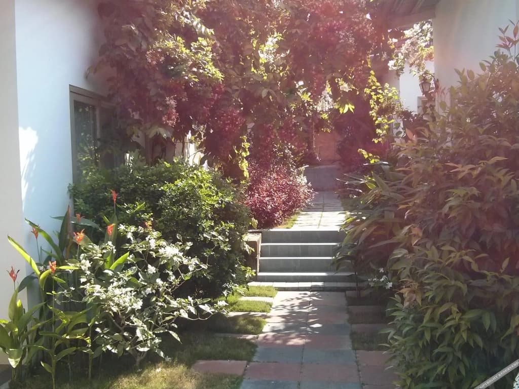 Sunshine Bungalow - photo 14