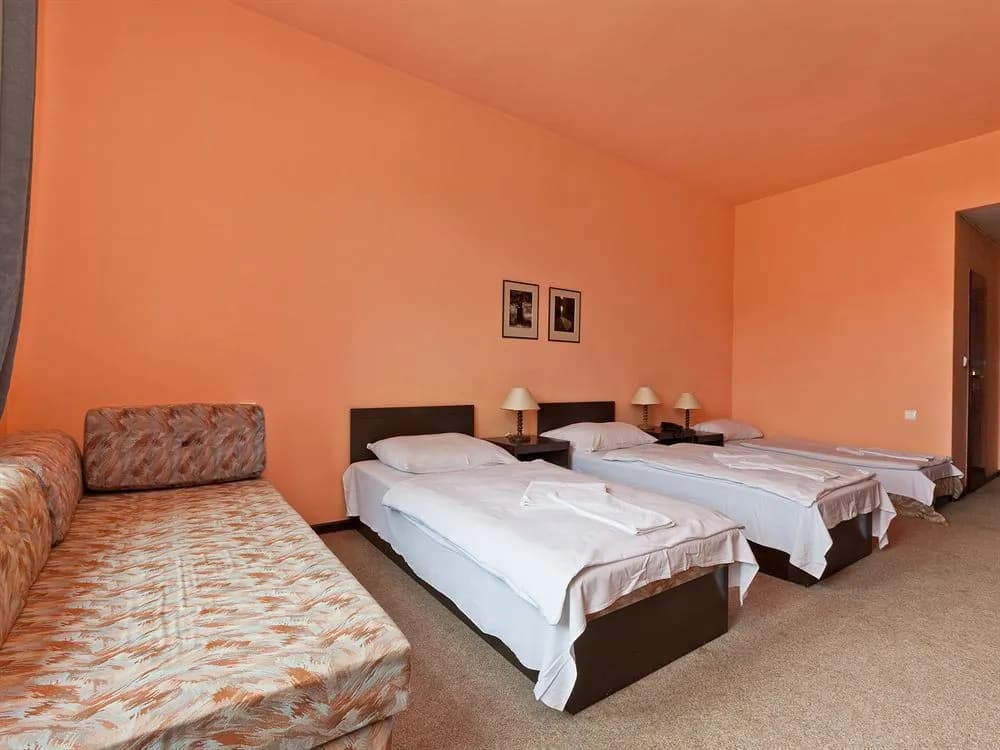 Hotel Braník - photo 6