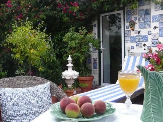 Oliveirinha - photo 5