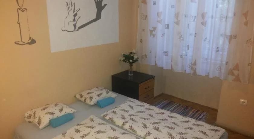 White Rabbit Hostel - photo 6