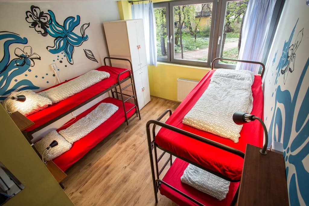 Island Hostel - Adults only - photo 5