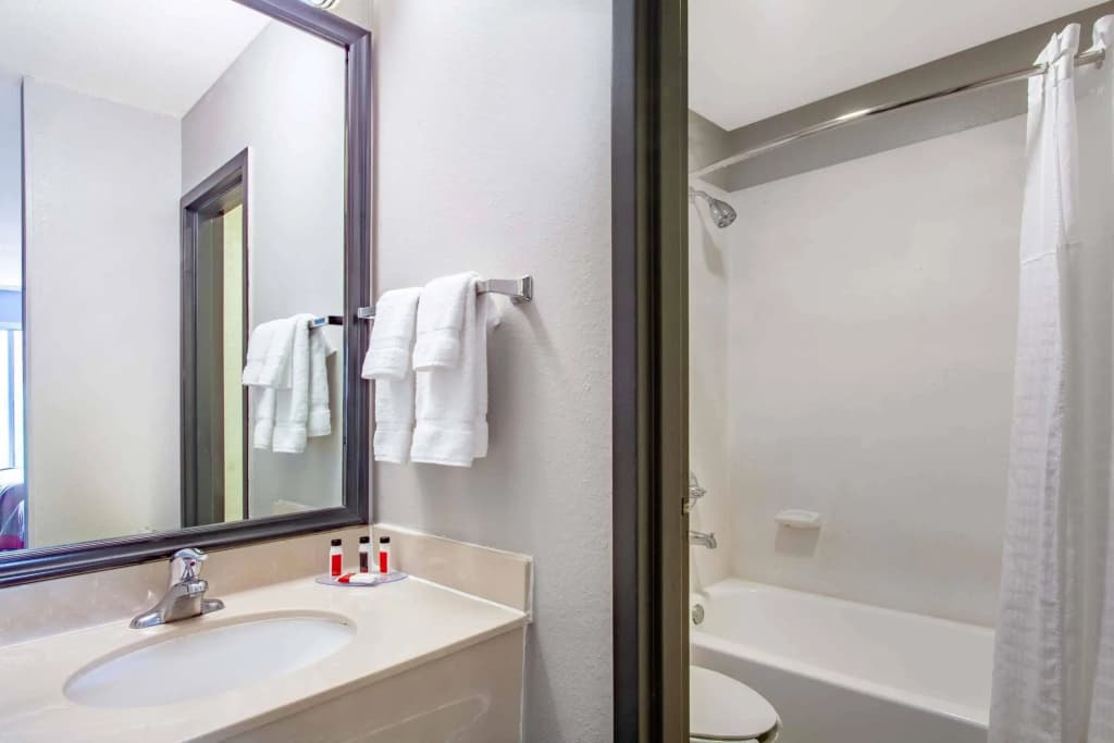 Quality Inn Orlando Near International Drive - photo 10