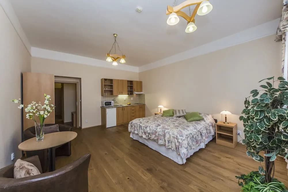 Aparthotel Lublanka - photo 7