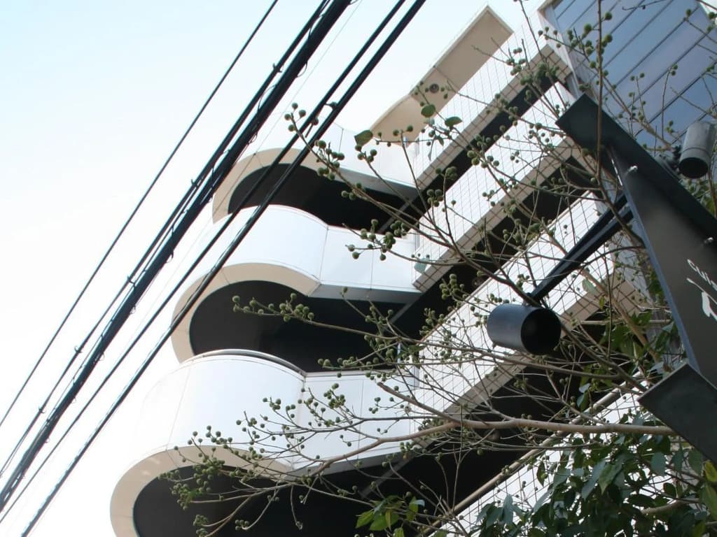 Kaede Guesthouse - photo 17